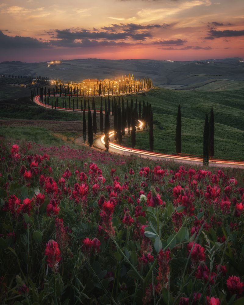 Photograph by Andrea Curzi