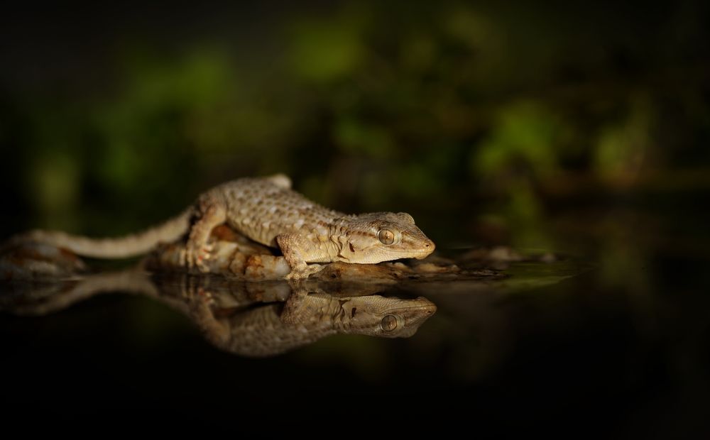 Photograph by Simone Batini