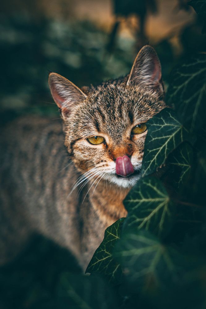 Photograph by Александр Дмитриев