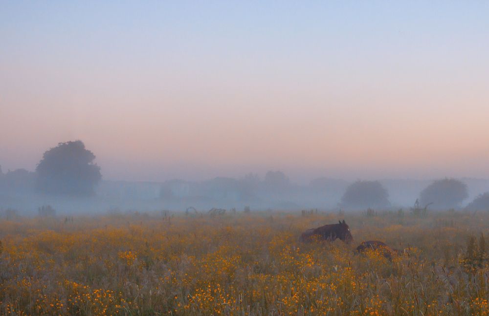 Photograph by Диана Бородзе