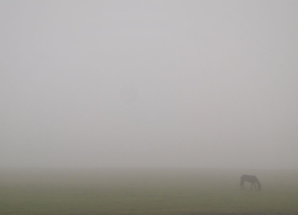Photograph by Владимир Кривенко