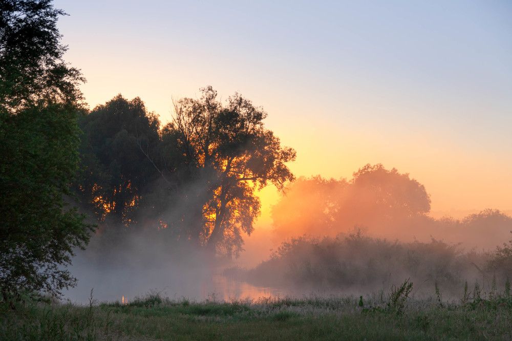 Photograph by Диана Бородзе