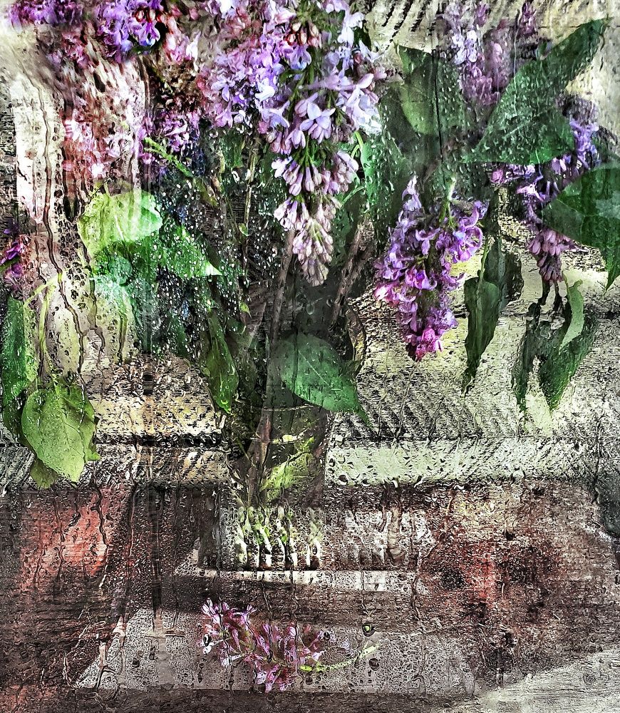 Photograph by Игорь