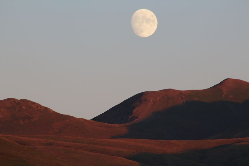 Фотография автора Mariami Sanishvili