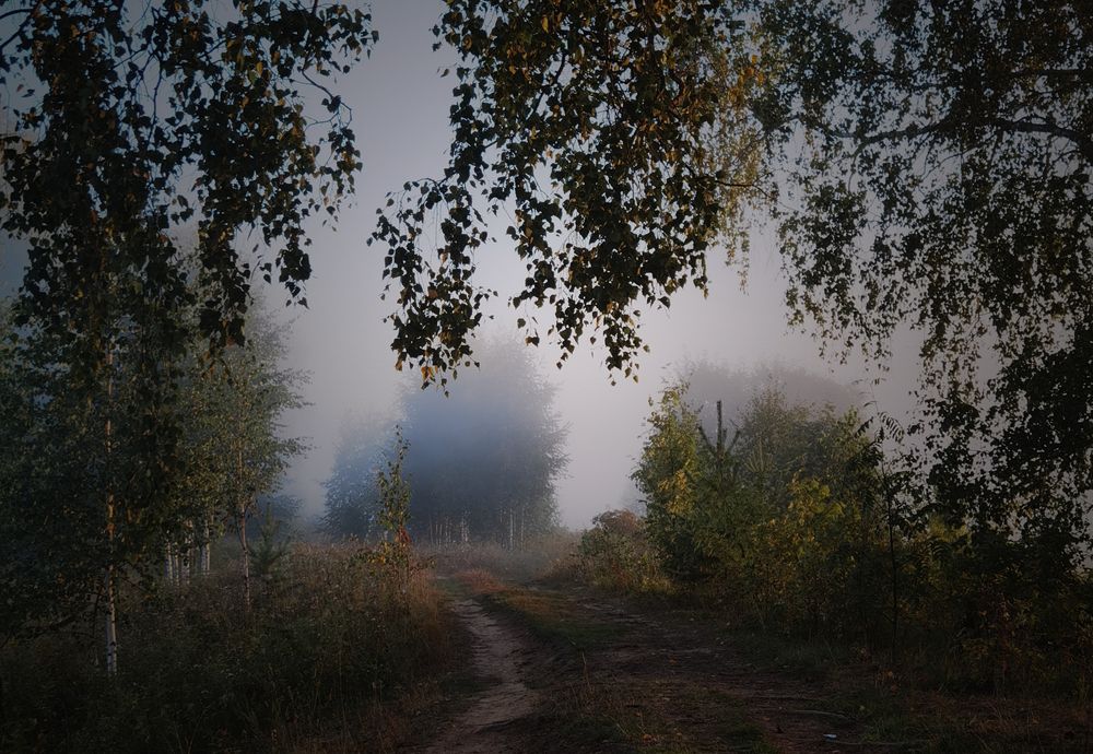 Photograph by Alexandr