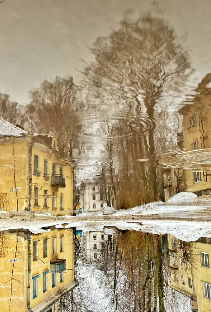 Photograph by Ирина Сорока