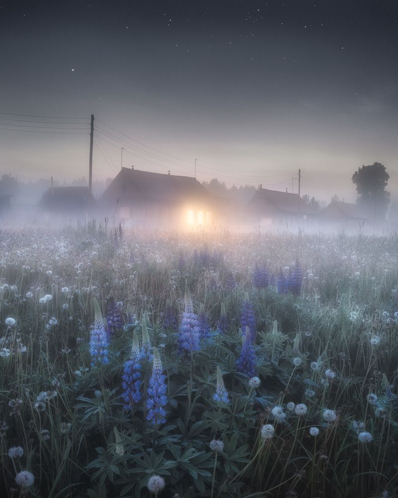 Фотография автора Dmitry Medyancev