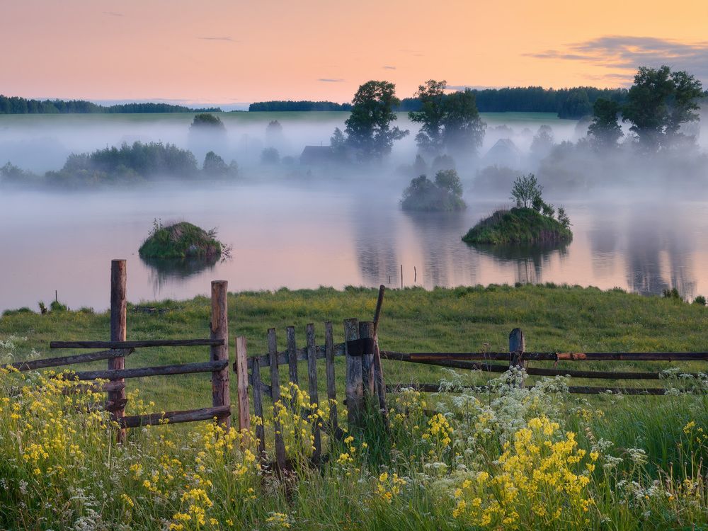 Фотография автора Dmitry Medyancev