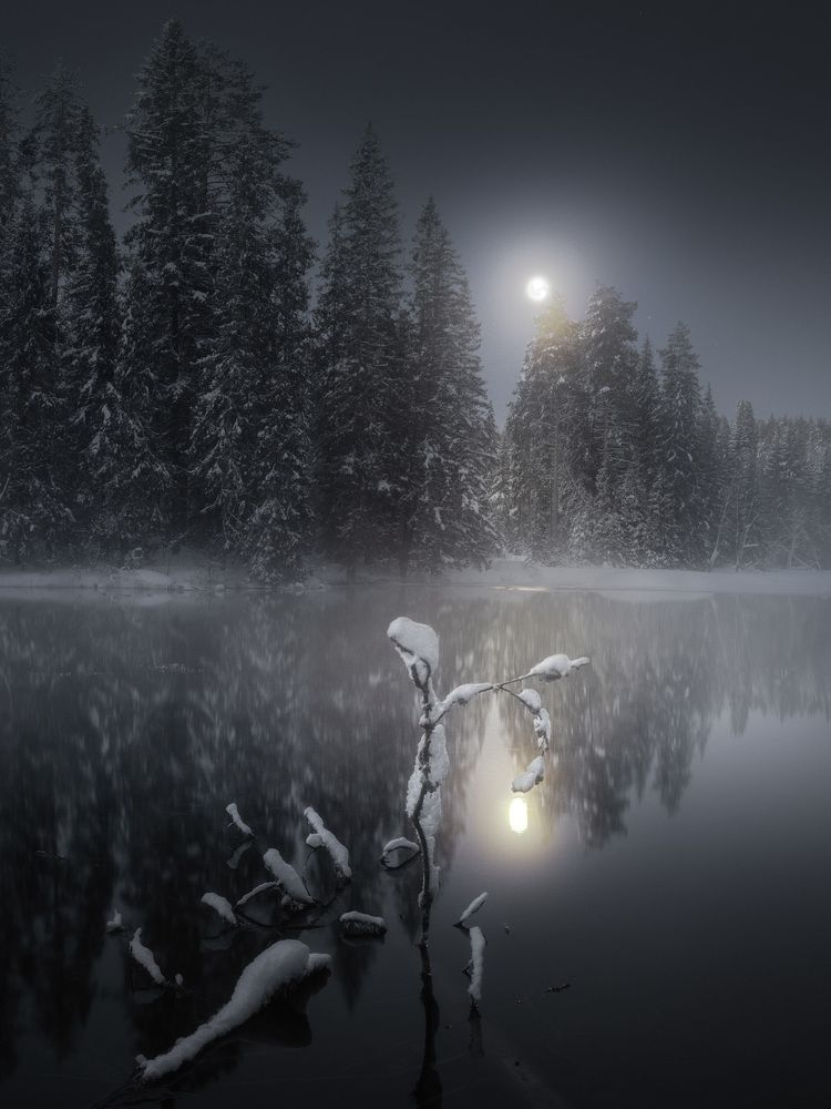 Фотография автора Dmitry Medyancev