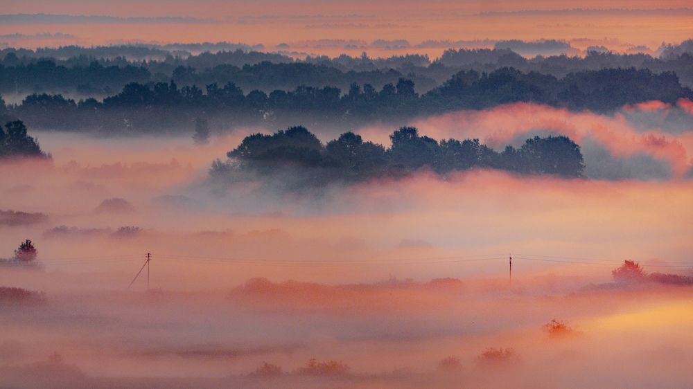 Photograph by Иван Труфанов