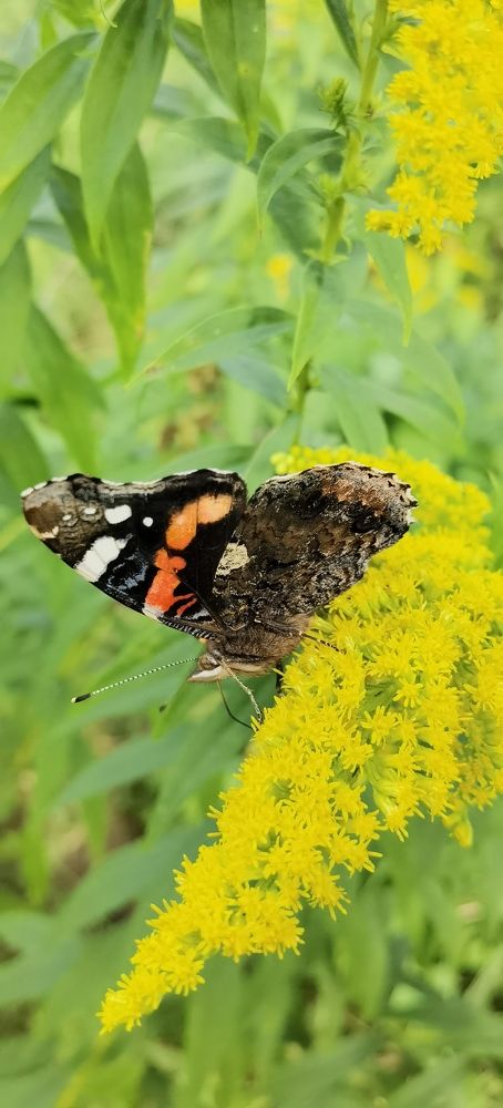 Photograph by Aleksandrs Konstantinovs