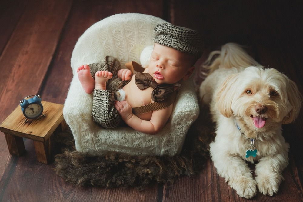 Photograph by Martina Spoljarić Pracaic