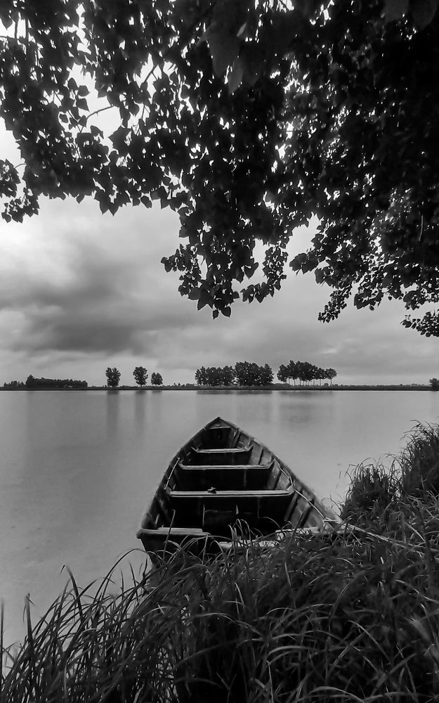 Photograph by mahdi ghanbari