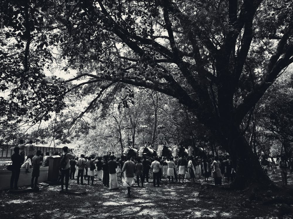 Photograph by SETHU AN