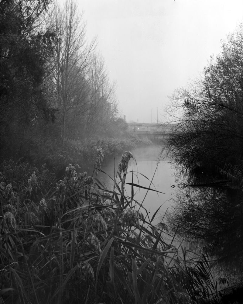 Photograph by Глеб Карханин