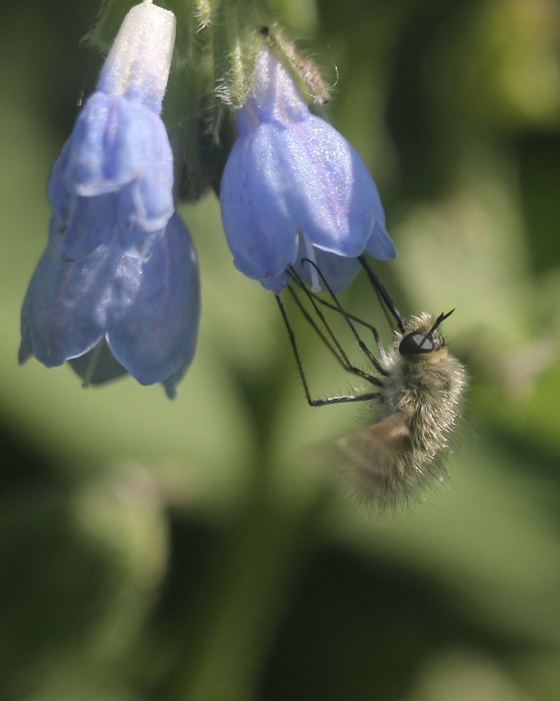 Photograph by Александр Затямин
