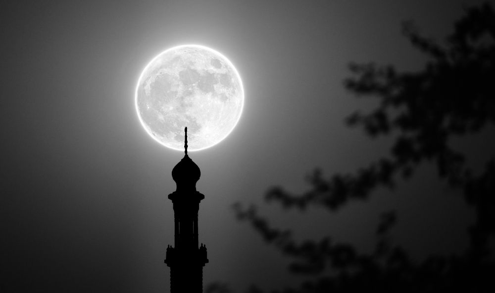 Photograph by Sushrut SK