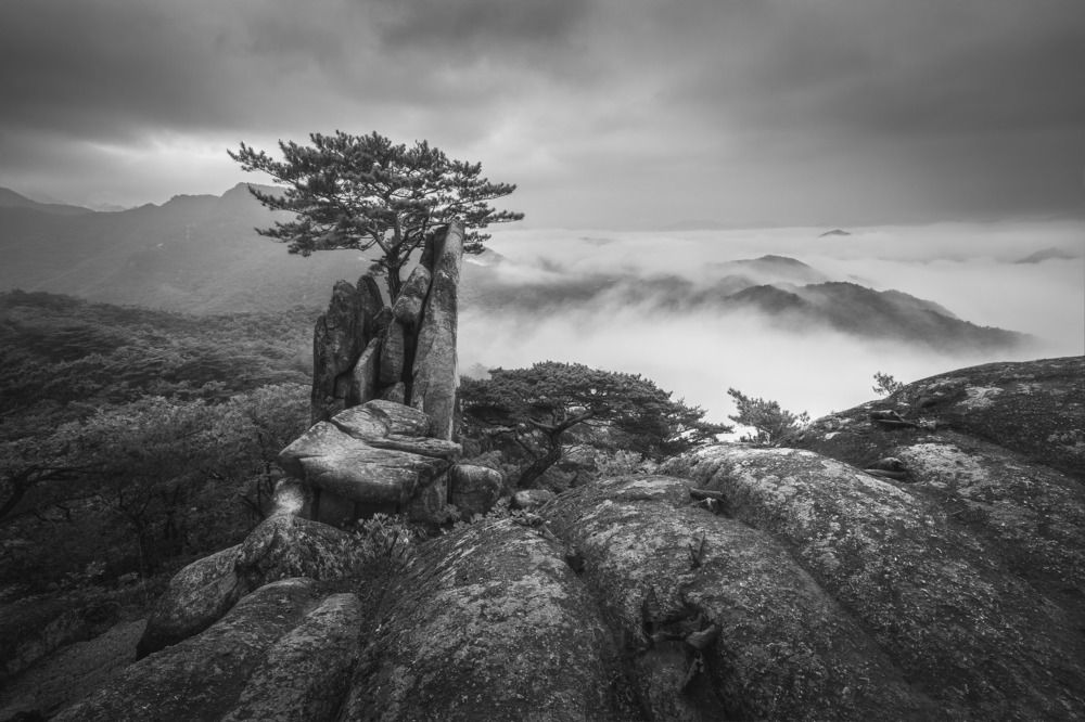 Фотография автора NGUYEN NGOC SON