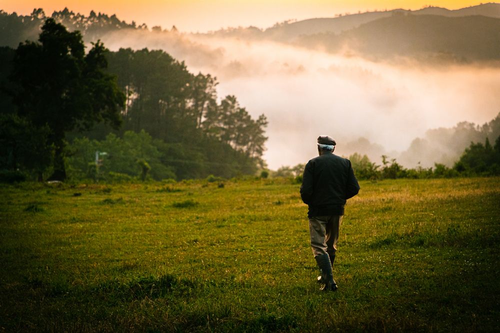 Photograph by João Versos Roldão