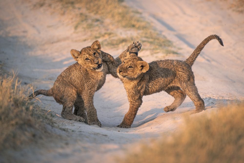 Photograph by Merche Llobera