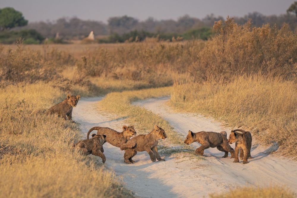 Photograph by Merche Llobera