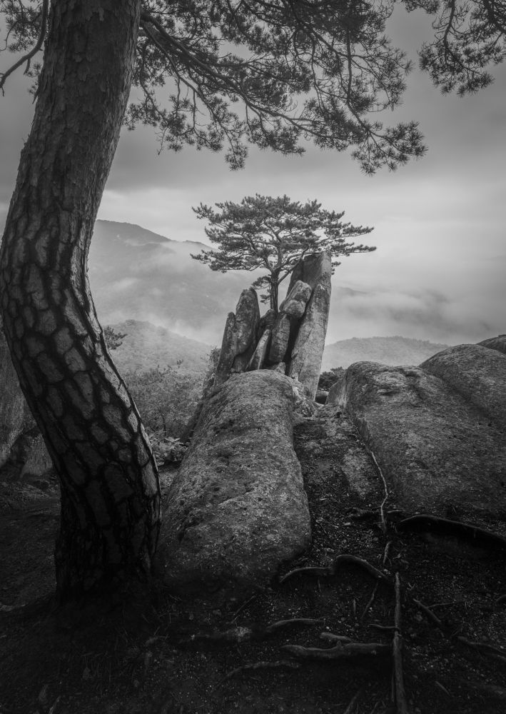 Фотография автора NGUYEN NGOC SON