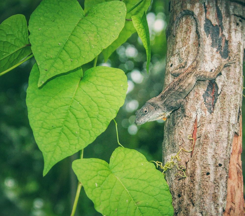 Photograph by Victor Manuel Torno