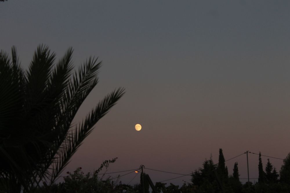 Photograph by Ferreira Francisco