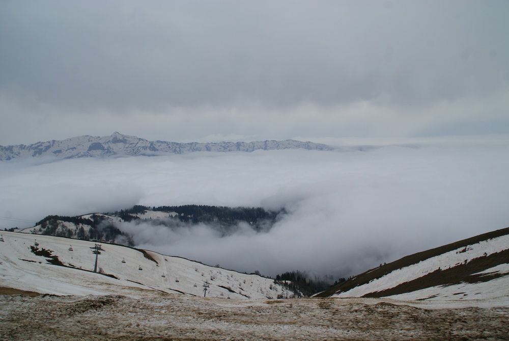 Photograph by Nadin Gaaze