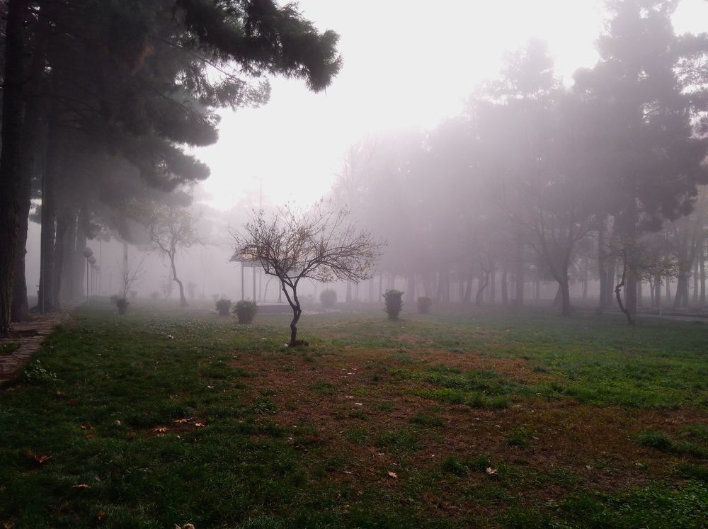 Фотография автора reza ahmadi