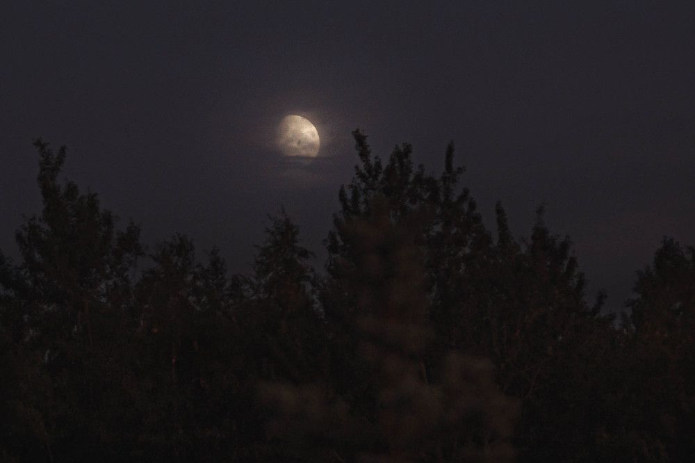 Photograph by Светлана Гонская