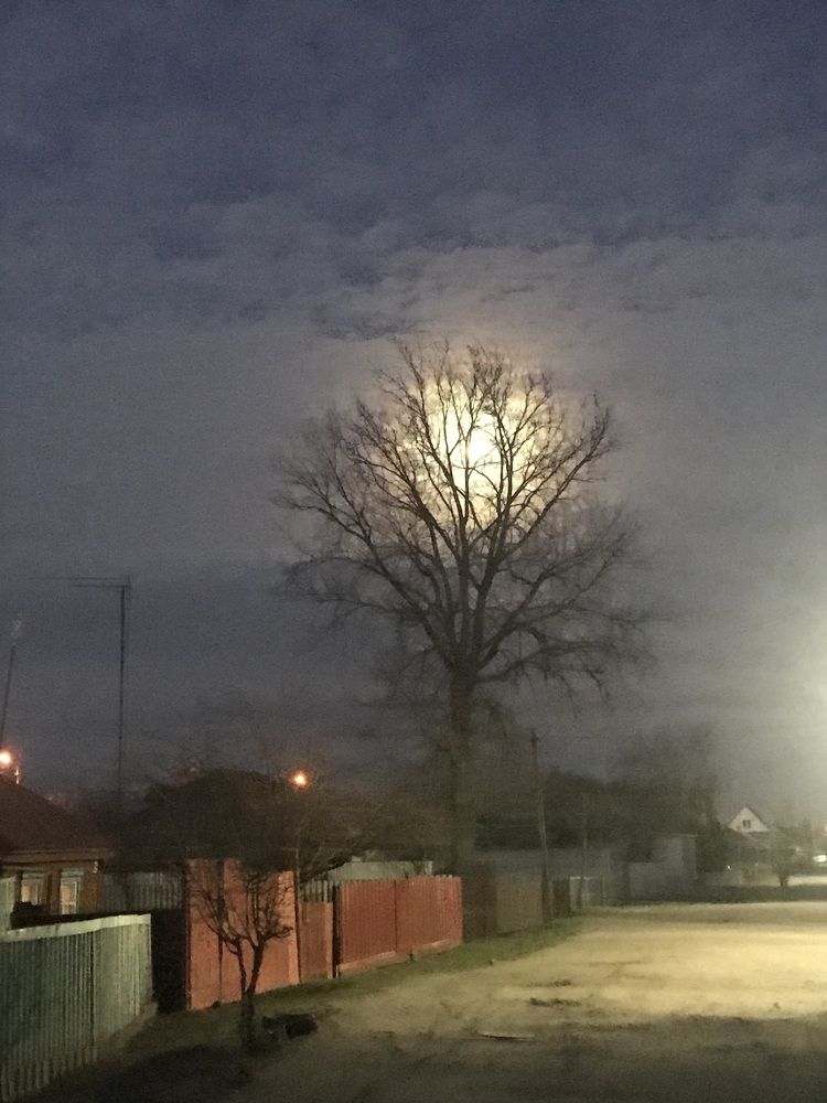 Photograph by Елена Гущина