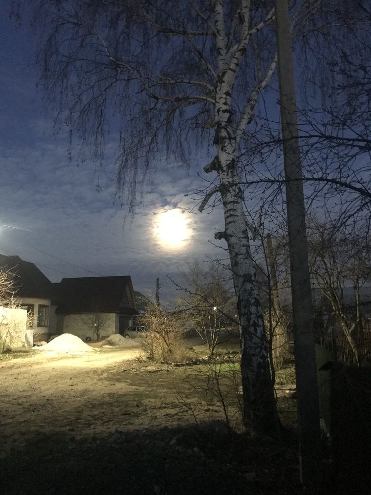 Photograph by Елена Гущина