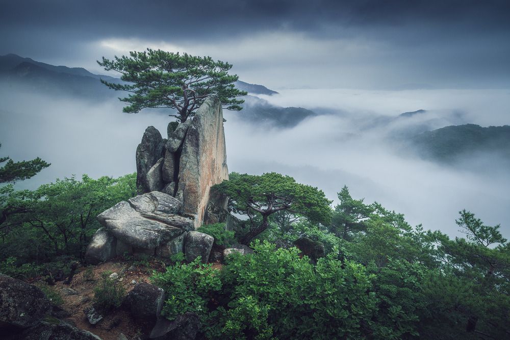 Фотография автора NGUYEN NGOC SON