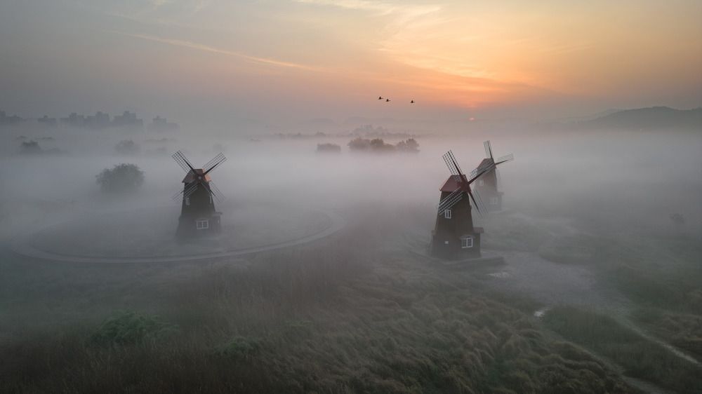 Windmills in the fog at sunrise
