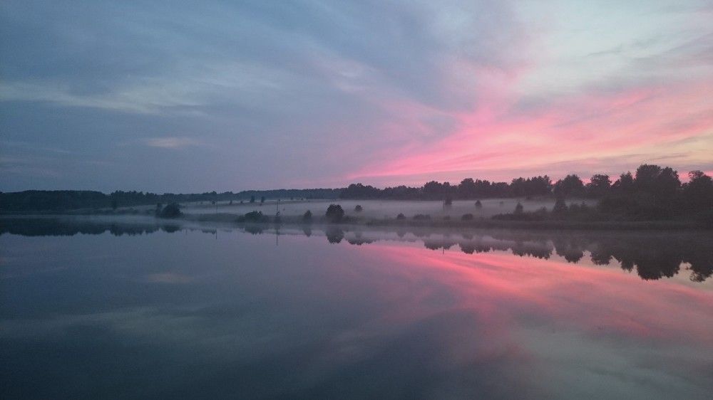 Photo #9206722