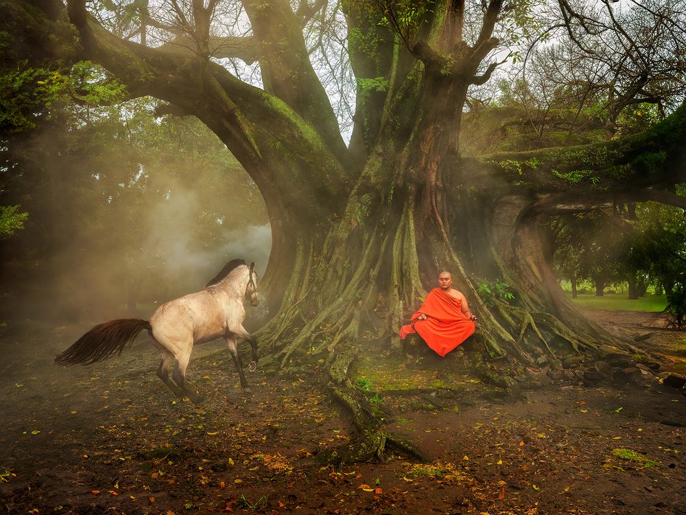 Sensitivity vs.  stupidity