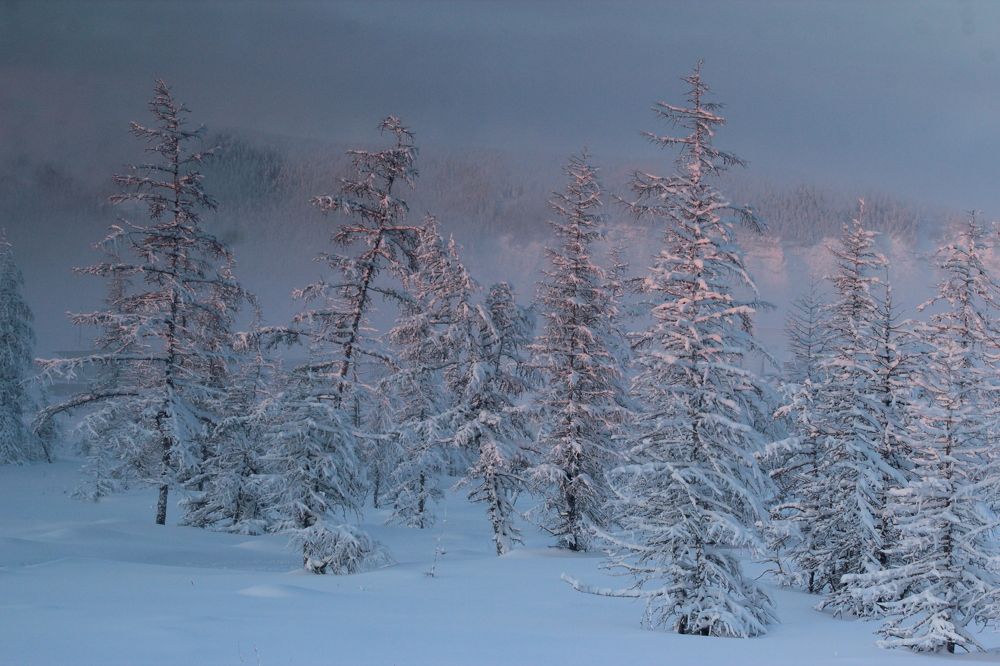 Photograph by Александр Велигура