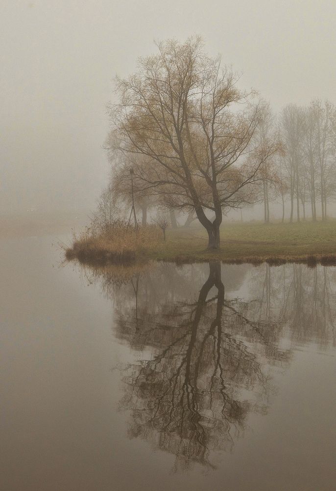 Photograph by Александр Смыков