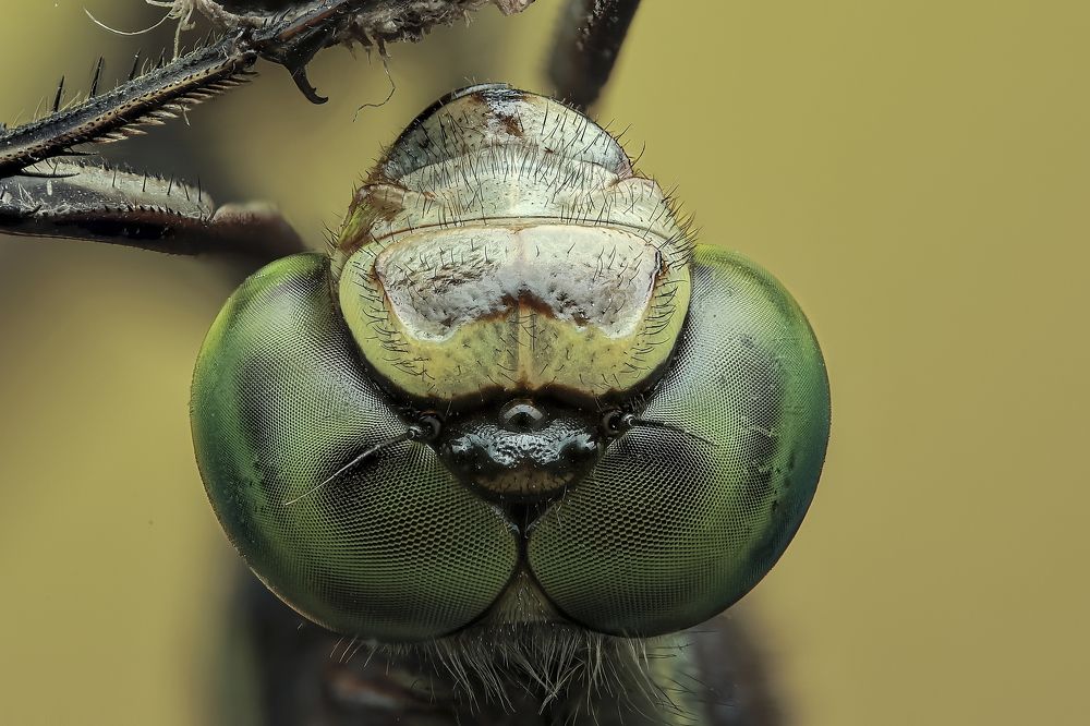 Photograph by Jacob Ng