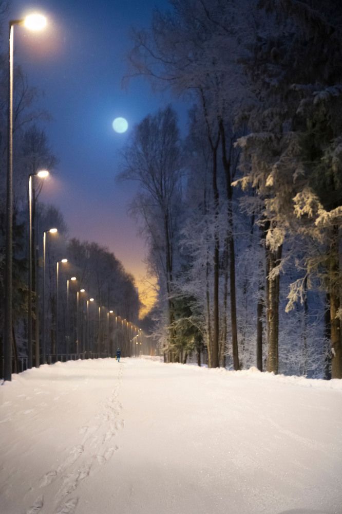 Photograph by Юрьев Борис