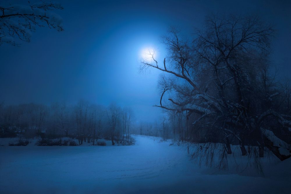 Photograph by Юрьев Борис