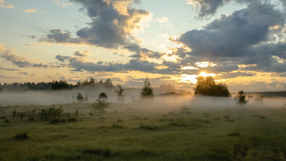 Photograph by Татьяна Романова