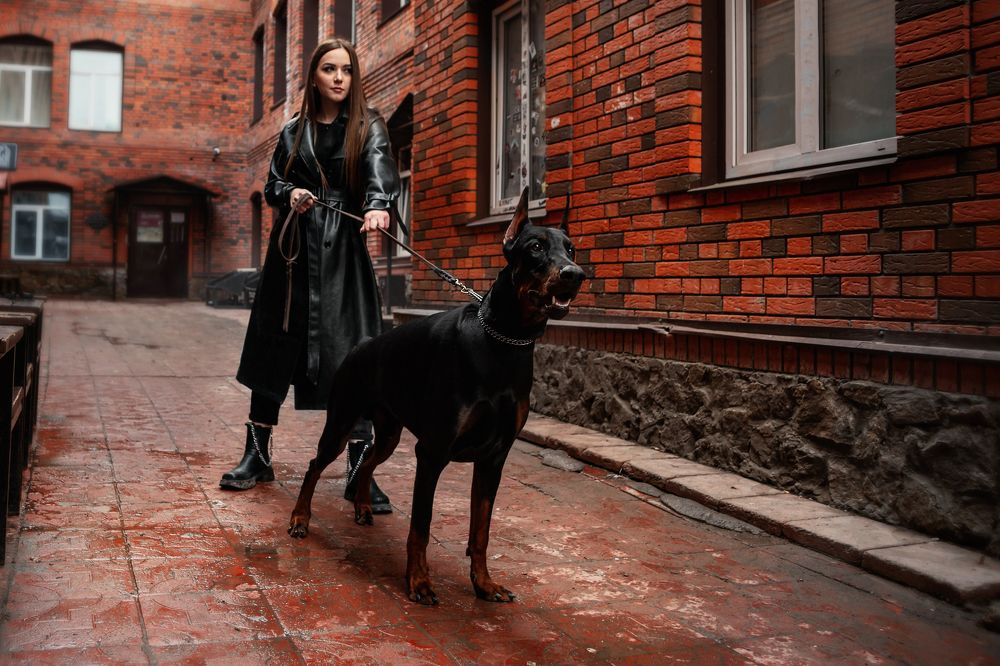 Photograph by Сергей