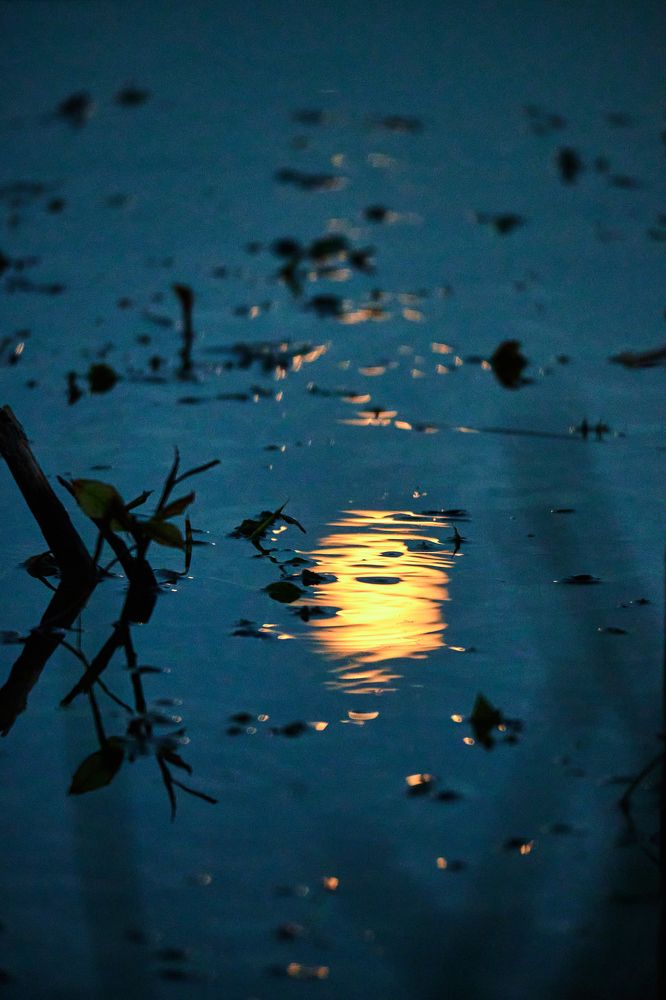 Луна в отражении