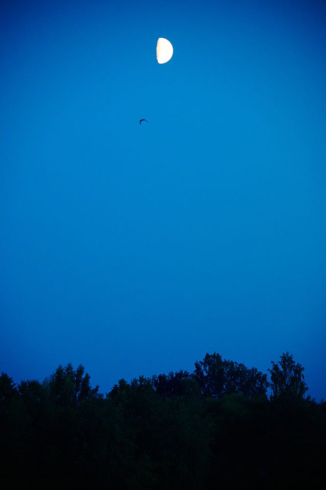 Фотография автора Александр Жданов