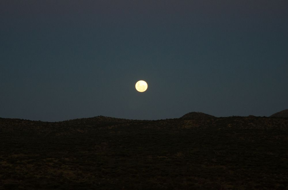 Photograph by Dirk Van Reeth