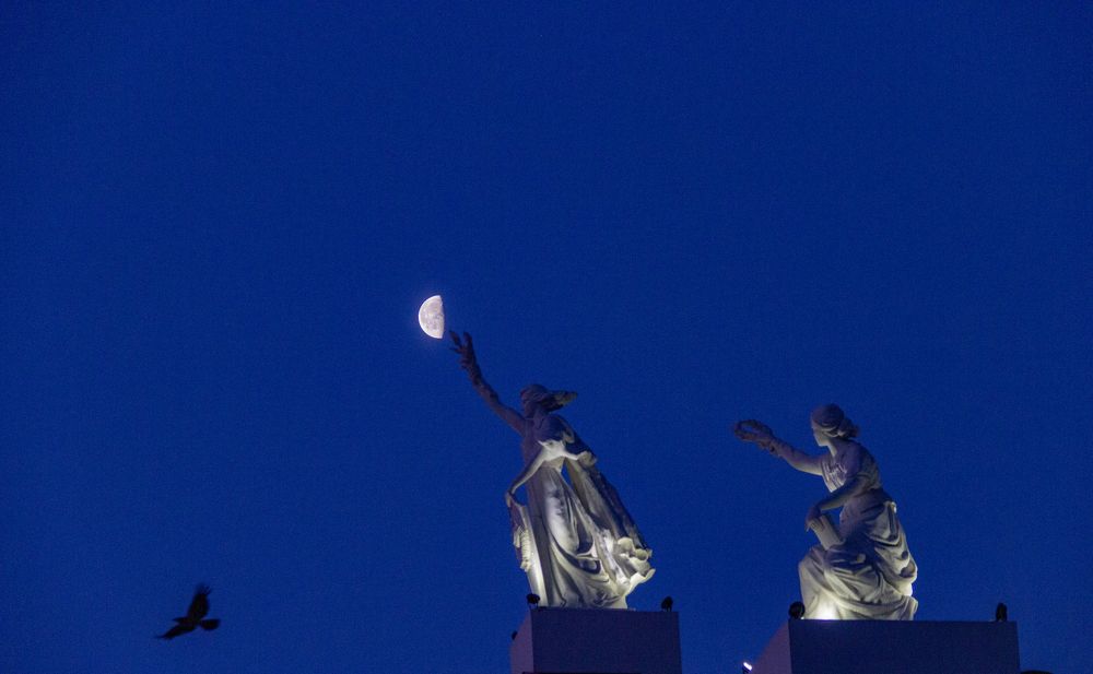 Photograph by Nastya Perekhodkina