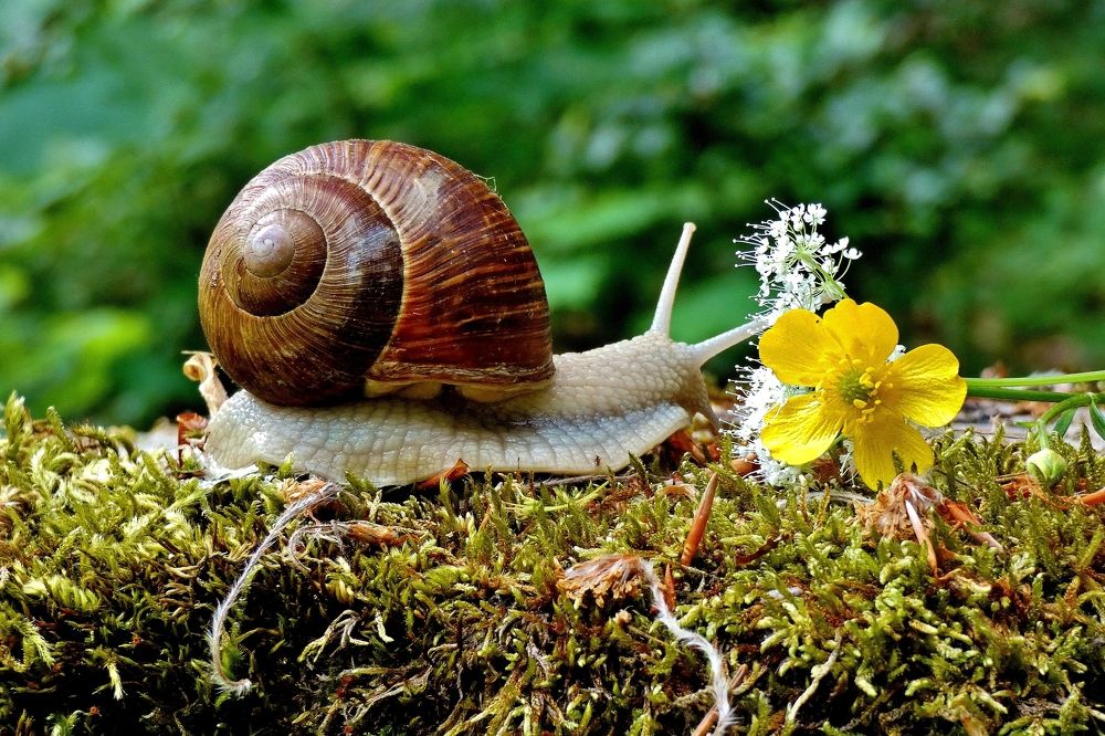 Photograph by backareva irina