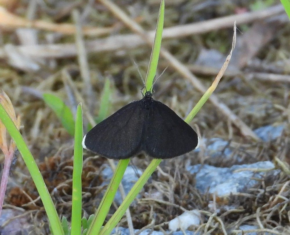 Photograph by Владимир Джерихов